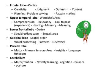 Frontal lobe - CortexCreativity	- Judgment	- Optimism   - ContextPlanning	- Problem solving	- Pattern makingUpper temporal lobe - Wernicke’s AreaComprehension   - Relevancy   - Link to past (experience) - Hearing - Memory  - MeaningLower frontal lobe - Cortex  Speaking/language   - Broca’s areaOccipital lobe - Spatial orderVisual processing - Patterns  - DiscoveryParietal lobeMotor - Primary Sensory Area  - Insights -  Language functionsCerebellumMotor/motion	- Novelty learning - cognition - balance - posture