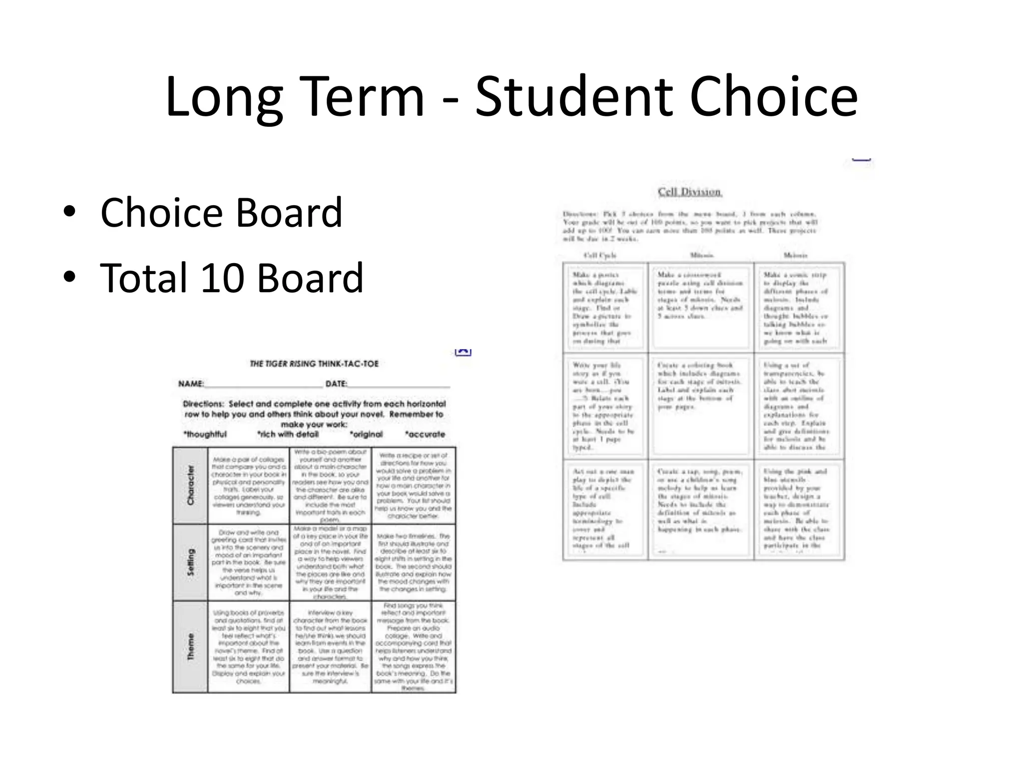 Long Term - Student Choice
• Choice Board
• Total 10 Board
 