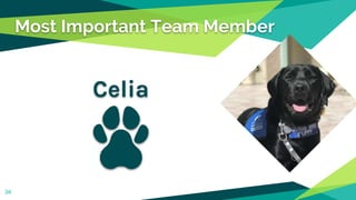 Most Important Team Member
Celia
36
 