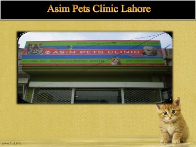 dr asim pet clinic
