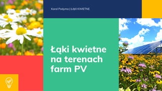 Łąki kwietne
na terenach
farm PV
Karol Podyma | ŁĄKI KWIETNE
 