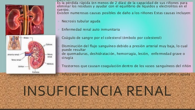 enfermedades del sistema endocrino