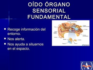 OÍDO ÓRGANO
SENSORIAL
FUNDAMENTAL





Recoge información del
entorno.
Nos alerta.
Nos ayuda a situarnos
en el espacio.

 