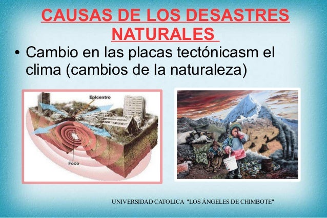 L a labor del estudiante universitario frente a los