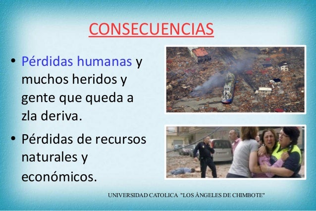 L a labor del estudiante universitario frente a los