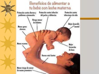 Lactancia Materna Por Myriam Gualoto