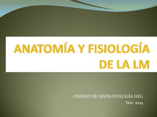 UNIDAD DE NEONATOLOGÍA HEGUNIDAD DE NEONATOLOGÍA HEG
Nov. 2014Nov. 2014
 