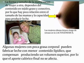  La forma y tamaño de la mama varían
de mujer a otra, dependen del
contenido en tejido graso y conectivo,
por lo que hay poca relación entre el
tamaño de las mamas y la capacidad
para producir leche.
Algunas mujeres con poca grasa corporal pueden
fabricar leche con menor contenido lipídico, que
compensan produciendo un volumen superior, por lo
que el aporte calórico final no se afecta.
Las mujeres obesas tienen riesgo de
retraso en la LACTOGÉNESIS II,
 
