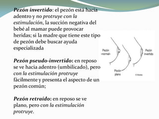 Pezón invertido: el pezón está hacia
adentro y no protruye con la
estimulación, la succión negativa del
bebé al mamar puede provocar
heridas; si la madre que tiene este tipo
de pezón debe buscar ayuda
especializada
Pezón pseudo-invertido: en reposo
se ve hacia adentro (umbilicado), pero
con la estimulación protruye
fácilmente y presenta el aspecto de un
pezón común;
Pezón retraído: en reposo se ve
plano, pero con la estimulación
protruye.
 