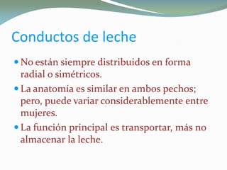 Conductos de leche
 No están siempre distribuidos en formaNo están siempre distribuidos en forma
radialradial o simétricos.o simétricos.
 La anatomía es similar en ambos pechos;La anatomía es similar en ambos pechos;
pero, puede variar considerablemente entrepero, puede variar considerablemente entre
mujeres.mujeres.
 La función principal es transportar, más noLa función principal es transportar, más no
almacenar la leche.almacenar la leche.
 
