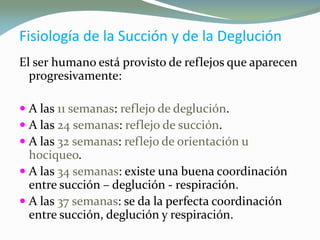Fisiología de la Succión y de la DegluciónFisiología de la Succión y de la Deglución
El ser humano está provisto de reflejos que aparecen
progresivamente:
 A las 11 semanas: reflejo de deglución.
 A las 24 semanas: reflejo de succión.
 A las 32 semanas: reflejo de orientación u
hociqueo.
 A las 34 semanas: existe una buena coordinación
entre succión – deglución - respiración.
 A las 37 semanas: se da la perfecta coordinación
entre succión, deglución y respiración.
 