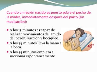 Cuando un recién nacido es puesto sobre el pecho de
la madre, inmediatamente después del parto (sin
medicación):
 A los 15 minutos es capaz de
realizar movimientos de lamido
del pezón, succión y hociqueo.
 A los 34 minutos lleva la mano a
la boca.
 A los 55 minutos empieza a
succionar espontáneamente.
 