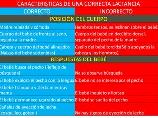 CARACTERISTICAS DE UNA CORRECTA LACTANCIACARACTERISTICAS DE UNA CORRECTA LACTANCIA
CORRECTOCORRECTO INCORRECTOINCORRECTO
POSICIÓN DEL CUERPOPOSICIÓN DEL CUERPO
Madre relajada y cómoda Hombros tensos, se inclinan sobre el bebé
Cuerpo del bebé de frente al seno,
pegado a la madre
Cuerpo del bebé en decúbito dorsal,
separado del pecho de la madre
Cabeza y cuerpo del bebé alineados
(Nalgas del bebé sostenidas)
Cuello del bebé torcido(Sólo apoyados la
cabeza y los hombros).
RESPUESTAS DEL BEBÉRESPUESTAS DEL BEBÉ
El bebé busca el pecho (Reflejo de
búsqueda) No se observa búsqueda
El bebé explora el pecho con la lenguaEl bebé no se interesa por el pecho
El bebé tranquilo y alerta mientras
mama El bebé inquieto y lloroso
El bebé permanece agarrado al pecho El bebé se suelta del pecho
Señales de eyección de leche
(cosquilleo, goteo ) No hay signos de eyección de leche
 
