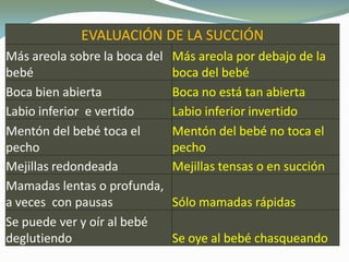 EVALUACIÓNEVALUACIÓN DE LA SUCCIÓNDE LA SUCCIÓN
Más areola sobre la boca del
bebé
MásMás areolaareola por debajo de lapor debajo de la
boca del bebéboca del bebé
Boca bien abierta Boca no está tan abiertaBoca no está tan abierta
Labio inferior e vertido Labio inferior invertidoLabio inferior invertido
Mentón del bebé toca el
pecho
Mentón del bebé no toca elMentón del bebé no toca el
pechopecho
Mejillas redondeada Mejillas tensas oMejillas tensas o en succiónen succión
Mamadas lentas o profunda,
a veces con pausas Sólo mamadas rápidasSólo mamadas rápidas
Se puede ver y oír al bebé
deglutiendo Se oye al bebé chasqueandoSe oye al bebé chasqueando
 