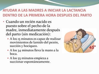 AYUDAR A LAS MADRES A INICIAR LA LACTANCIA
DENTRO DE LA PRIMERA HORA DESPUES DEL PARTO
• Cuando un recién nacido es
puesto sobre el pecho de la
madre, inmediatamente después
del parto (sin medicación):
 A los 15 minutos es capaz de realizar
movimientos de lamido del pezón,
succión y hociqueo.
 A los 34 minutos lleva la mano a la
boca.
 A los 55 minutos empieza a
succionar espontáneamente.
 