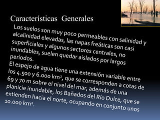 Características Generales
 