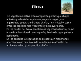 Flora

 La vegetación nativa está compuesta por bosques bajos
abiertos y arbustales espinosos, según la región, con
algarrobos, quebracho blanco, chañar, tala, mistol y tusca
entre las especies más frecuentes y de mayor porte.
En los bordes del área encontramos vegetación leñosa, como
el quebracho colorado santiagueño, barba de tigre, palma y
pasionaria.
En los bañados la vegetación se presenta en manchones
alternando con pastizales de inundación, matorrales de
ambiente salino y bosquecillos chañar.
 