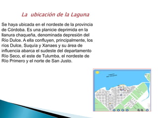 La ubicación de la Laguna
Se haya ubicada en el nordeste de la provincia
de Córdoba. Es una planicie deprimida en la
llanura chaqueña, denominada depresión del
Río Dulce. A ella confluyen, principalmente, los
ríos Dulce, Suquía y Xanaes y su área de
influencia abarca el sudeste del departamento
Río Seco, el este de Tulumba, el nordeste de
Río Primero y el norte de San Justo.
 