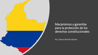 Mecanismos y garantías
para la protección de los
derechos constitucionales
Por: Edison Noreña Gómez
 