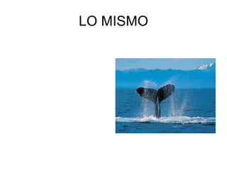 LO MISMO 