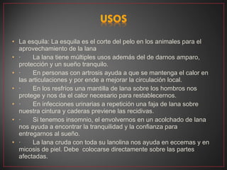 • La esquila: La esquila es el corte del pelo en los animales para el
  aprovechamiento de la lana
• ·       La lana tiene múltiples usos además del de darnos amparo,
  protección y un sueño tranquilo.
• ·       En personas con artrosis ayuda a que se mantenga el calor en
  las articulaciones y por ende a mejorar la circulación local.
• ·       En los resfríos una mantilla de lana sobre los hombros nos
  protege y nos da el calor necesario para restablecernos.
• ·       En infecciones urinarias a repetición una faja de lana sobre
  nuestra cintura y caderas previene las recidivas.
• ·       Si tenemos insomnio, el envolvernos en un acolchado de lana
  nos ayuda a encontrar la tranquilidad y la confianza para
  entregarnos al sueño.
• ·       La lana cruda con toda su lanolina nos ayuda en eccemas y en
  micosis de piel. Debe  colocarse directamente sobre las partes
  afectadas.
 
 