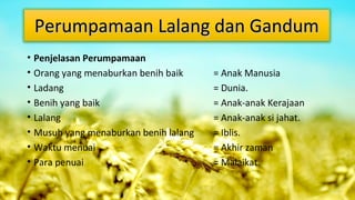 Perumpamaan Lalang dan Gandum
• Penjelasan Perumpamaan
• Orang yang menaburkan benih baik
• Ladang
• Benih yang baik
• Lalang
• Musuh yang menaburkan benih lalang
• Waktu menuai
• Para penuai

= Anak Manusia
= Dunia.
= Anak-anak Kerajaan
= Anak-anak si jahat.
= Iblis.
= Akhir zaman
= Malaikat.

 