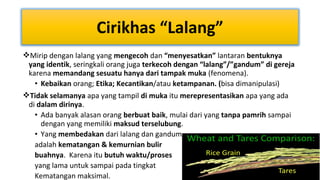 Cirikhas “Lalang”
Mirip dengan lalang yang mengecoh dan “menyesatkan” lantaran bentuknya
yang identik, seringkali orang juga terkecoh dengan “lalang”/”gandum” di gereja
karena memandang sesuatu hanya dari tampak muka (fenomena).
• Kebaikan orang; Etika; Kecantikan/atau ketampanan. (bisa dimanipulasi)
Tidak selamanya apa yang tampil di muka itu merepresentasikan apa yang ada
di dalam dirinya.
• Ada banyak alasan orang berbuat baik, mulai dari yang tanpa pamrih sampai
dengan yang memiliki maksud terselubung.
• Yang membedakan dari lalang dan gandum
adalah kematangan & kemurnian bulir
buahnya. Karena itu butuh waktu/proses
yang lama untuk sampai pada tingkat
Kematangan maksimal.

 