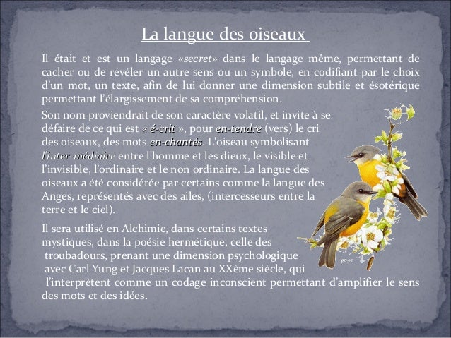 b07dxrw69c la langue des oiseaux la langue des oiseaux b07dxrw69c la langue des oiseaux la langue des oiseaux