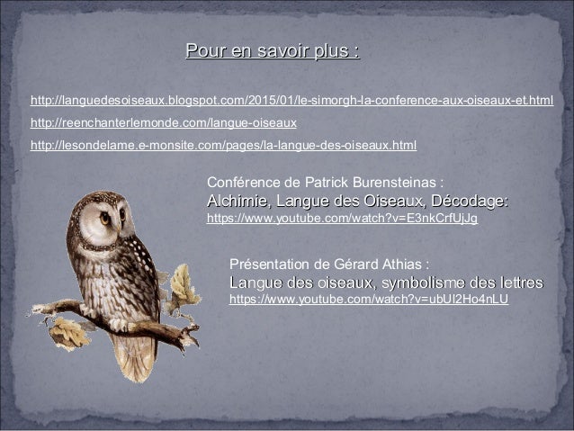 b07dxrw69c la langue des oiseaux la langue des oiseaux b07dxrw69c la langue des oiseaux la langue des oiseaux