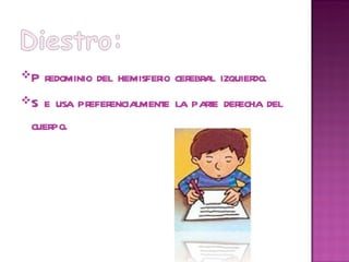 Predominio del hemisferio cerebral izquierdo. Se usa preferencialmente la parte derecha del cuerpo. 