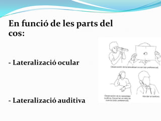 Exploració sistemàtica.TIPUS DE LATERALITAT:Factors neurofisiològics.Factors genèrics.Factors socials:Significació religiosa.