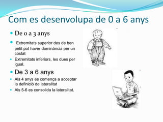 Causes ambientals.En funció de les parts del cos:- Lateralizació ocular- Lateralizació auditiva