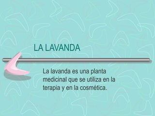 LA LAVANDA

 La lavanda es una planta
 medicinal que se utiliza en la
 terapia y en la cosmética.
 