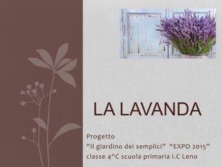 Progetto
“Il giardino dei semplici” “EXPO 2015”
classe 4^C scuola primaria I.C Leno
LA LAVANDA
 