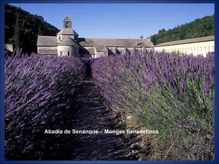Abadia de Senanque – Monges benedetinos 
