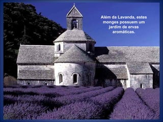 Além da Lavanda, estes monges possuem um jardim de ervas aromáticas. 