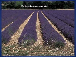 Ela é usada como prevenção. 