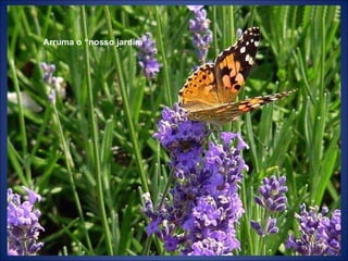 Arruma o “nosso jardim”. 