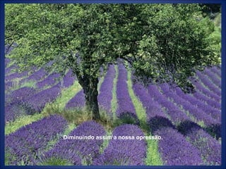 Diminuindo assim a nossa opressão. 