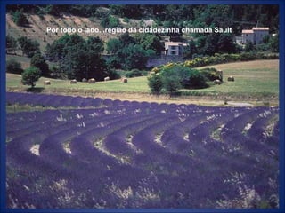 Por todo o lado...região da cidadezinha chamada Sault 
