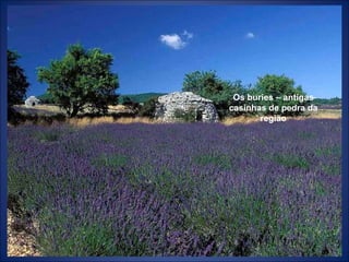 Os buries – antigas casinhas de pedra da região 