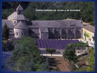 Comercializam as  ervas e as lavandas 