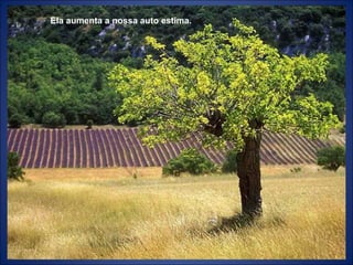 Ela aumenta a nossa auto estima. 