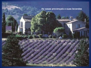 As casas provençais e suas lavandas 