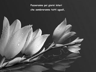 Passeranno poi giorni interi che sembreranno tutti uguali, 