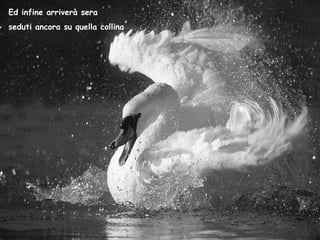 Ed infine arriverà sera seduti ancora su quella collina 