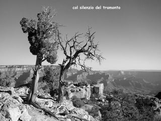 col silenzio del tramonto 