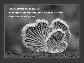 Tenerti stretta tra le braccia mi dà importanza nella vita, sei il futuro da costruire il mio prato su cui giocare. 