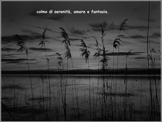 colmo di serenità, amore e fantasia. 