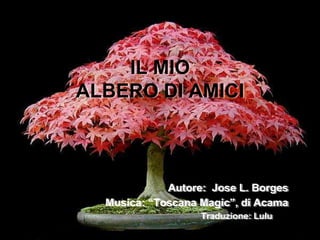 IL MIOALBERO DI AMICIAutore:  Jose L. Borges                         Musica: “Toscana Magic”, di AcamaTraduzione: Lulu 